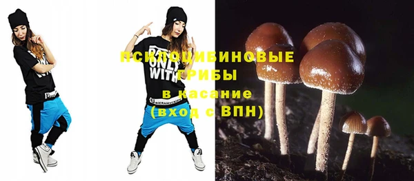 ешки Алзамай