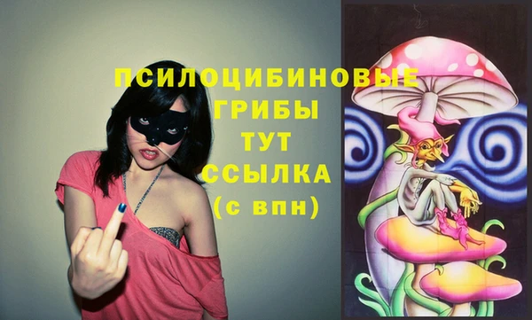 бутират Алексеевка
