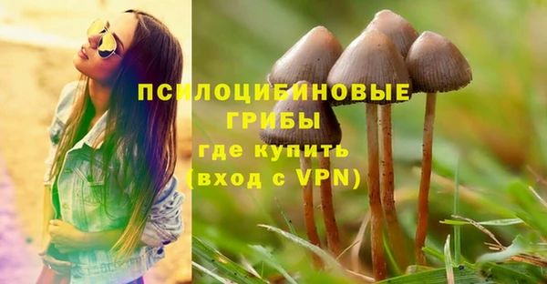 ешки Алзамай